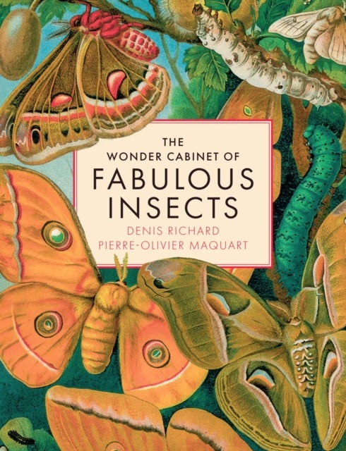 The Wonder Cabinet of Fabulous Insects - Secrets of the World’s Rarest and Strangest Insects