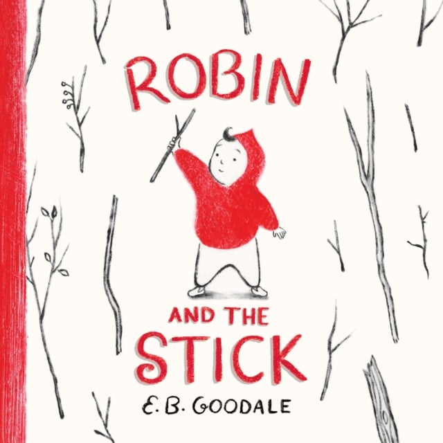 Robin and the Stick - A Picture Book
