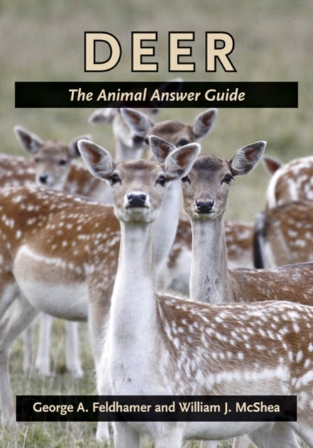 Deer - The Animal Answer Guide