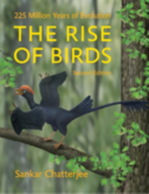 The Rise of Birds - 225 Million Years of Evolution