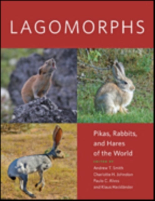 Lagomorphs - Pikas, Rabbits, and Hares of the World