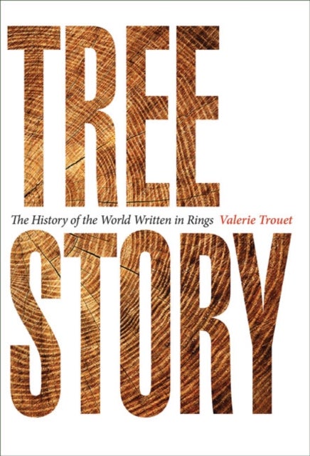 Tree Story - The History of the World Written in Rings