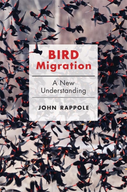 Bird Migration - A New Understanding