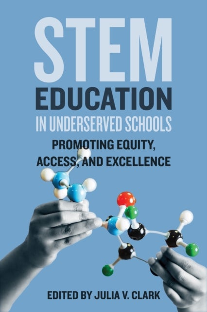 STEM Education in Underserved Schools - Promoting Equity, Access, and Excellence