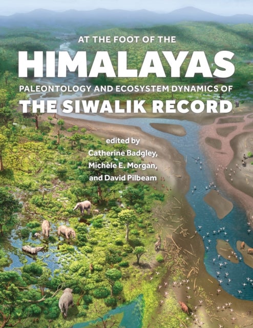 At the Foot of the Himalayas - Paleontology and Ecosystem Dynamics of the Siwalik Record