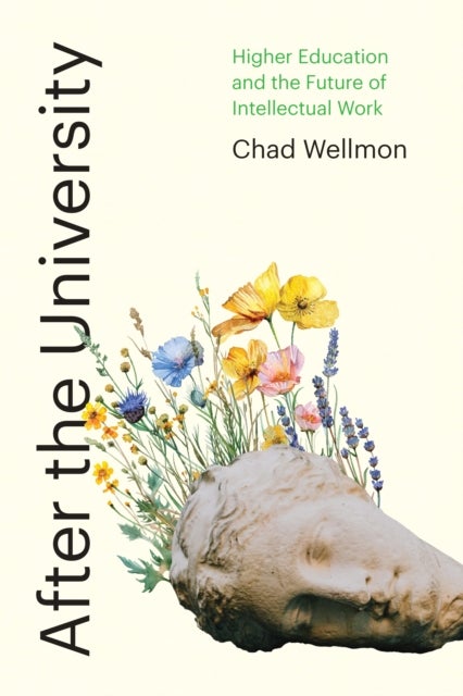 After the University - Higher Education and the Future of Intellectual Work