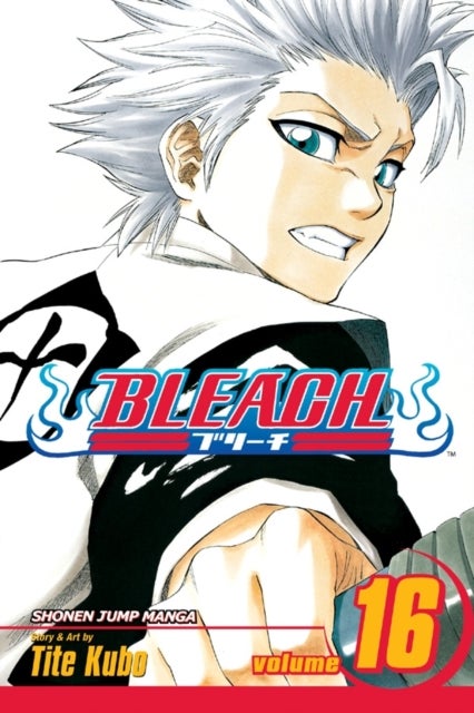 Bleach, Vol. 16 - Knight of Wijnruit