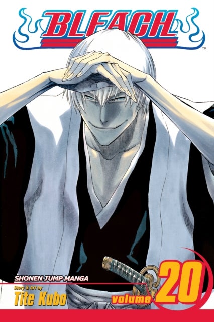 Bleach, Vol. 20 - End of Hypnosis