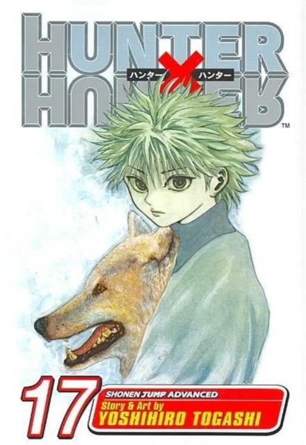 Hunter x Hunter, Vol. 17 - A Fierce Three-Way Struggle