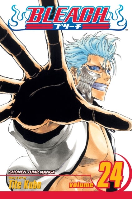 Bleach, Vol. 24 - Immanent God Blues