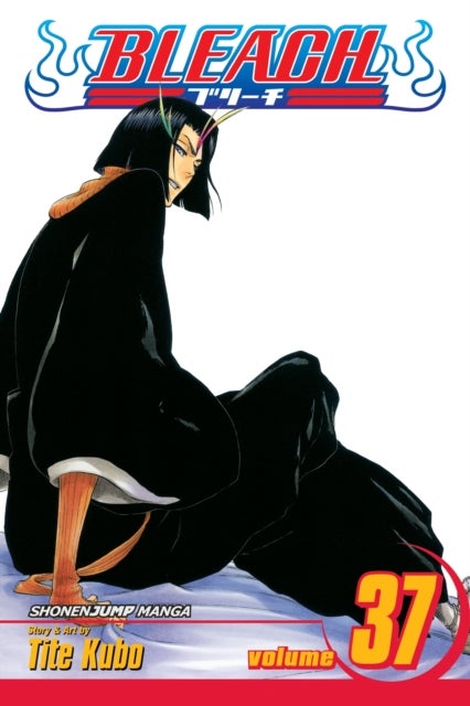 Bleach, Vol. 37 - Beauty Is So Solitary