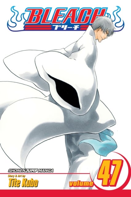 Bleach, Vol. 47 - End of the Chrysalis Age