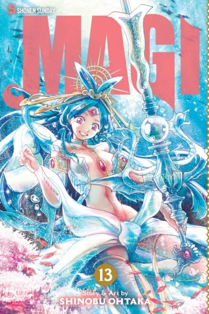 Magi: The Labyrinth of Magic, Vol. 13 - The Labyrinth of Magic