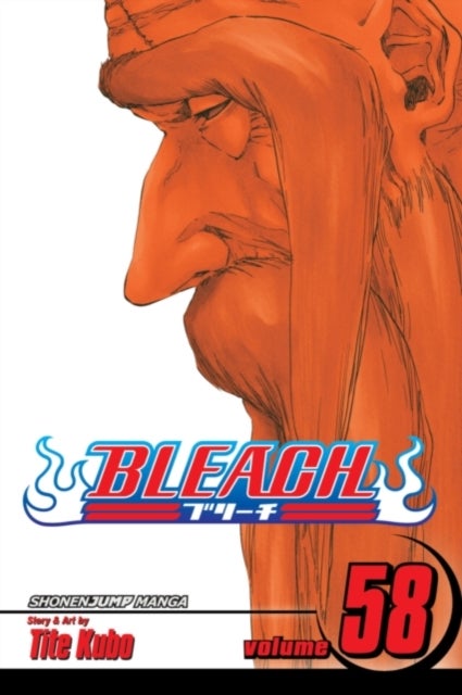 Bleach, Vol. 58 - The Fire