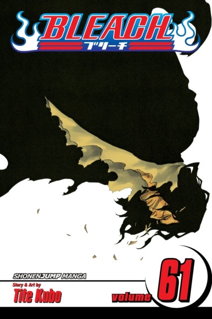 Bleach, Vol. 61 - The Last 9 Days