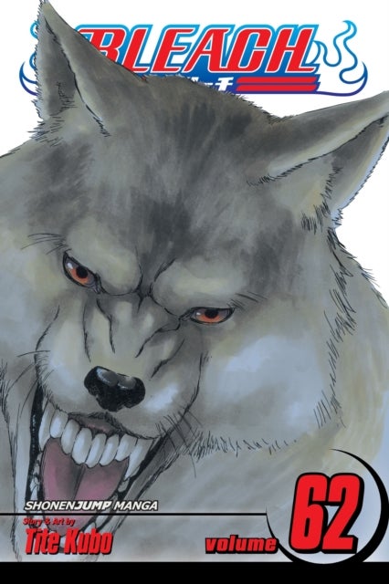 Bleach, Vol. 62 - Heart of Wolf