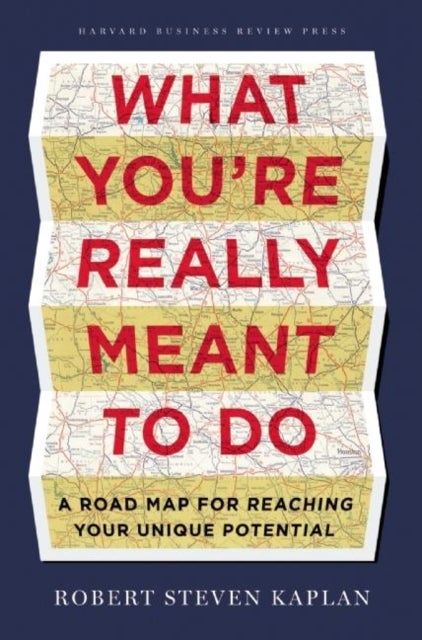 What You're Really Meant to Do - A Road Map for Reaching Your Unique Potential