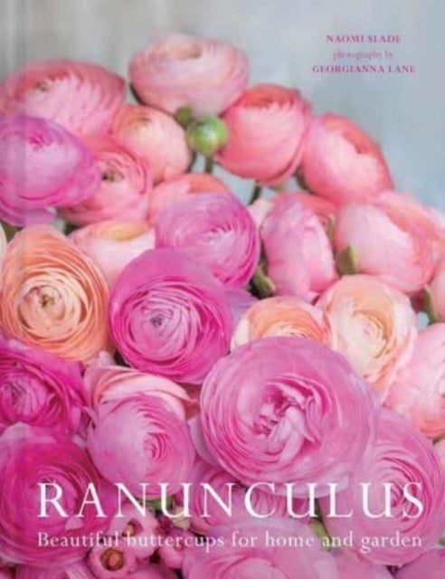 Ranuculus - Beautiful Varieties for Home and Garden