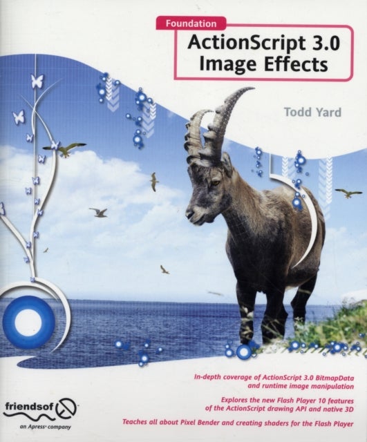 Foundation ActionScript 3.0 Image Effects