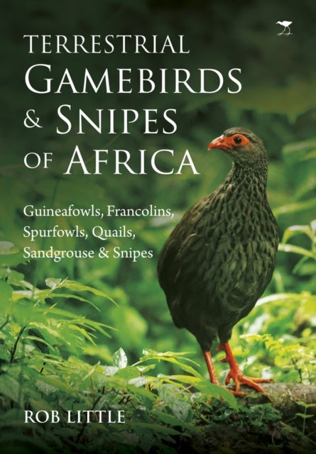 Terrestrial gamebirds & snipes of Africa - Guineafowls, Francolins, Spurfowls, Quails, Sangrouse & Snipes