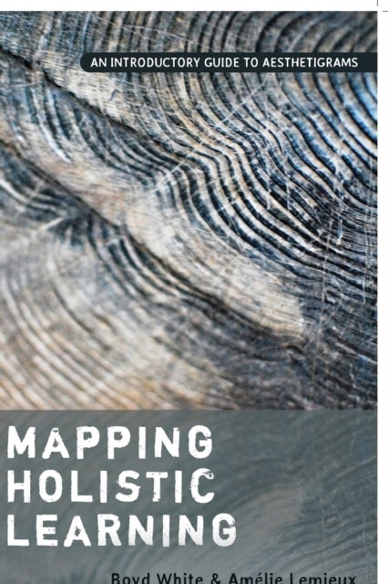 Mapping Holistic Learning - An Introductory Guide to Aesthetigrams