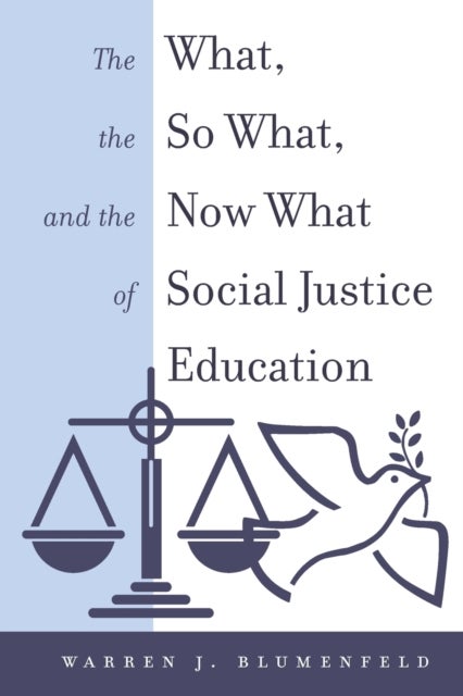 The What, the So What, and the Now What of Social Justice Education