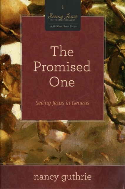 The Promised One - Seeing Jesus in Genesis (A 10-week Bible Study)