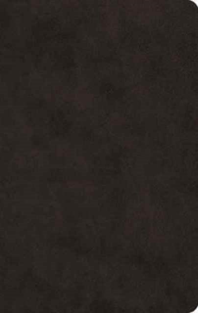 ESV Large Print Value Thinline Bible