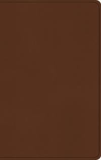 ESV Large Print Value Thinline Bible