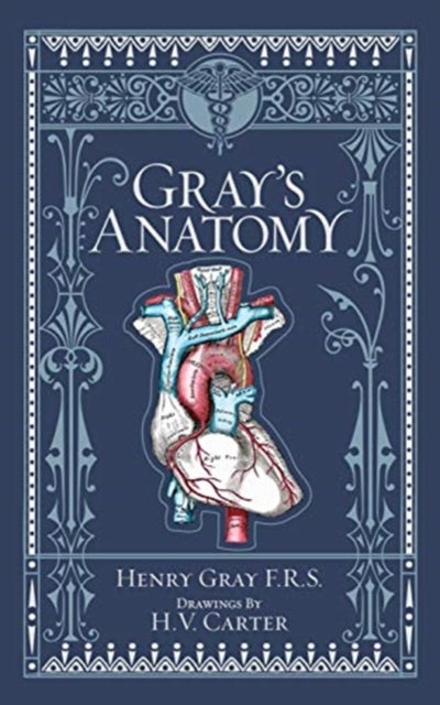 Gray's Anatomy (Barnes & Noble Collectible Editions) - Barnes & Noble Collectible Classics Omnibus Editio