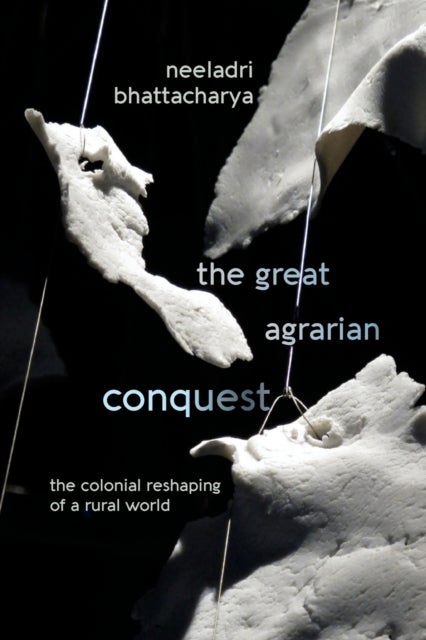 The Great Agrarian Conquest - The Colonial Reshaping of a Rural World