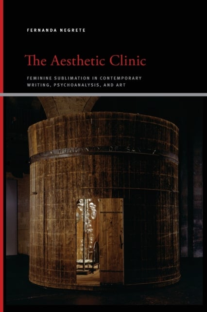 The Aesthetic Clinic - Feminine Sublimation in Contemporary Writing, Psychoanalysis, and Art