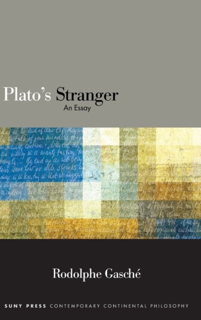 Plato's Stranger - An Essay