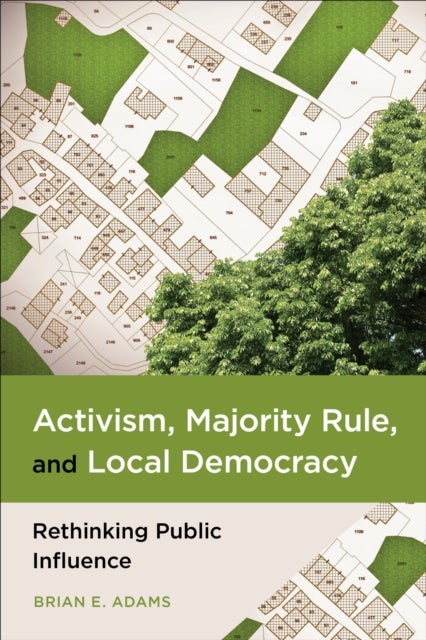 Activism, Majority Rule, and Local Democracy - Rethinking Public Influence