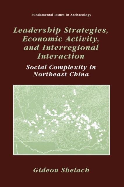 Leadership Strategies, Economic Activity, and Interregional Interaction - Social Complexity in Northeast China