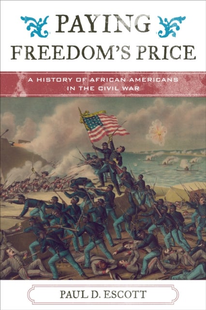 Paying Freedom's Price - A History of African Americans in the Civil War