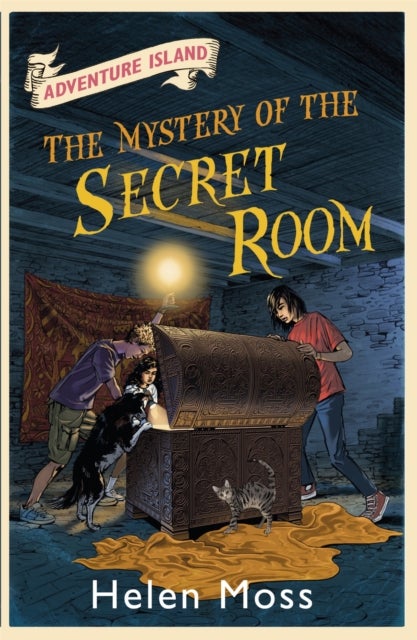 Adventure Island: The Mystery of the Secret Room - Book 13