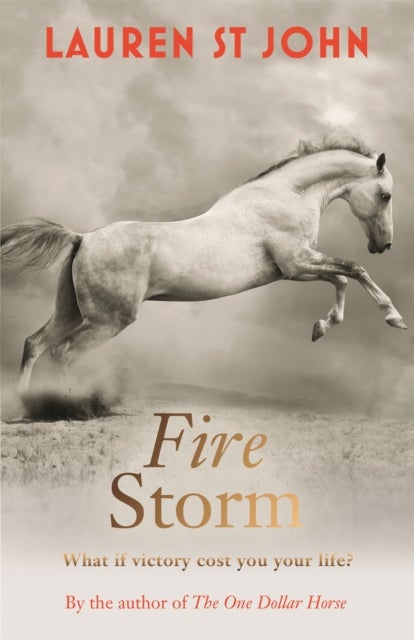 The One Dollar Horse: Fire Storm - Book 3