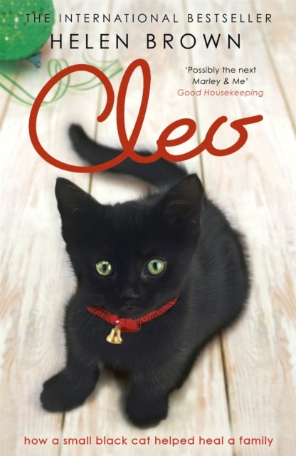 Cleo - How a small black cat helped heal a family