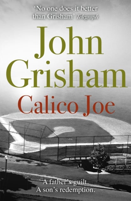 Calico Joe - The unforgettable family drama from the number 1 Sunday Times bestselling author