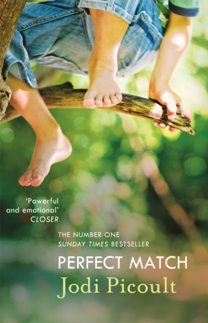 Perfect Match - the international bestseller about the strength of a mother's love