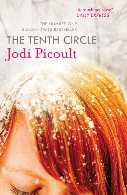The Tenth Circle - A completely heartbreaking and gripping ethical dilemma novel from the bestselling author of My Sister's Keeper