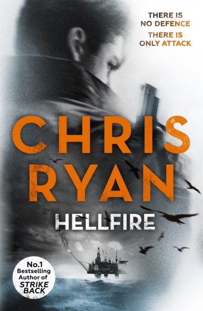Hellfire - Danny Black Thriller 3