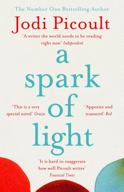 A Spark of Light - The heart-stopping and heartbreaking ethical dilemma novel from the bestselling author of My Sister's Keeper