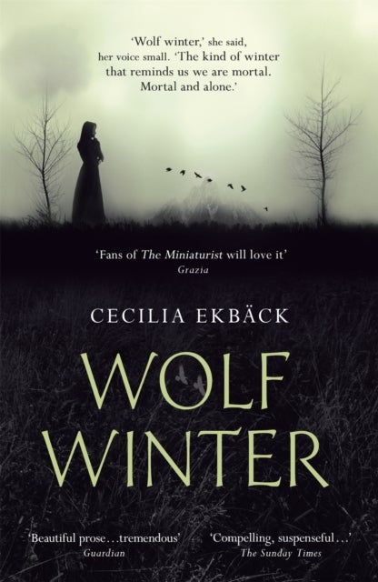 Wolf Winter - Winner of the 2016 HWA Goldsboro Debut Crown Award