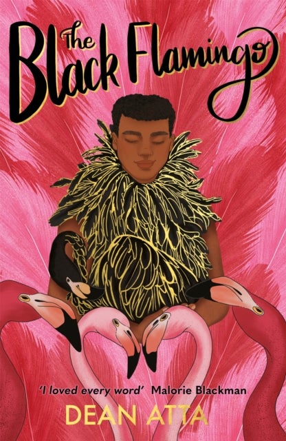 The Black Flamingo - The much loved, award-winning, queer coming-of-age story