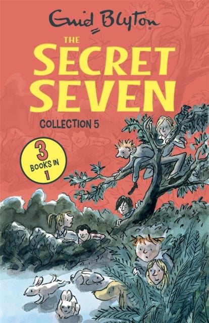 The Secret Seven Collection 5 - Books 13-15