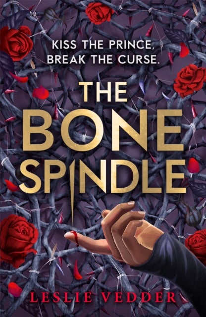 The Bone Spindle - Book 1: a fractured twist on the classic fairy tale Sleeping Beauty