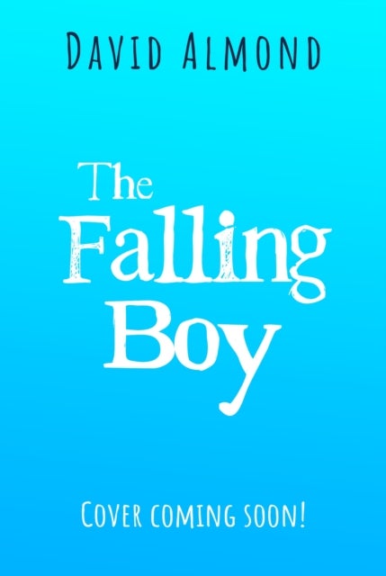 The New Famous Five: The Falling Boy