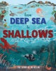 From Deep Sea to Shallows: The Story of Oceans